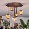 Chehalis Taklampa, kullampa Amber, Klart, Rökfärger, 5-ljuskällor