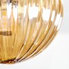 Chehalis Taklampa, kullampa Amber, Klart, Rökfärger, 5-ljuskällor