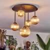 Chehalis Taklampa, kullampa Amber, 5-ljuskällor
