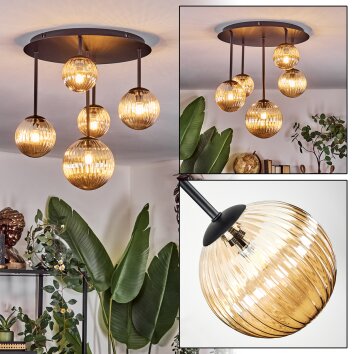 Chehalis Taklampa, kullampa Amber, 5-ljuskällor