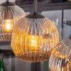 Ripoll Pendellampa, kullampa, Pendelbelysning Amber, Klart, Rökfärger, 4-ljuskällor
