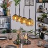 Ripoll Pendellampa, kullampa, Pendelbelysning Guld, Klart, 4-ljuskällor
