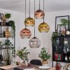 Koyoto Pendellampa, kullampa, Pendellampa Cluster Krom, Guld, Klart, Kopparfärg, Rökfärger, 5-ljuskällor