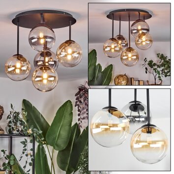 Chehalis Taklampa, kullampa Amber, Klart, Rökfärger, 5-ljuskällor