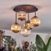 Chehalis Taklampa, kullampa Amber, Klart, Rökfärger, 5-ljuskällor