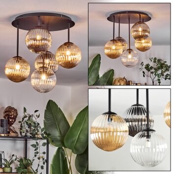 Chehalis Taklampa, kullampa Amber, Klart, Rökfärger, 5-ljuskällor