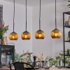 Koyoto Pendellampa, kullampa, Pendelbelysning Guld, 4-ljuskällor