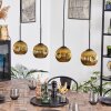 Ripoll Pendellampa, kullampa, Pendelbelysning Guld, 4-ljuskällor