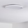 Qadir Taklampa för utomhusbruk, Taklampa LED Vit, 1-ljuskällor