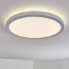 Qadir Taklampa för utomhusbruk, Taklampa LED Vit, 1-ljuskällor