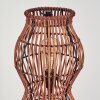Cardeira Golvlampa Svart, 4-ljuskällor