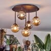 Chehalis Taklampa, kullampa Amber, Rökfärger, 5-ljuskällor
