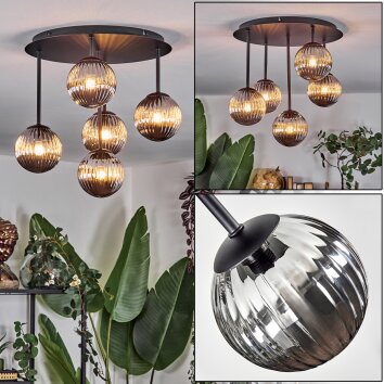 Chehalis Taklampa, kullampa Rökfärger, 5-ljuskällor