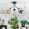Ripoll Taklampa, kullampa Amber, Klart, Rökfärger, 3-ljuskällor