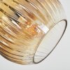 Koyoto Taklampa, kullampa Guld, Klart, 3-ljuskällor