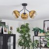 Koyoto Taklampa, kullampa Guld, Klart, 3-ljuskällor