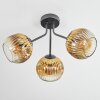 Ripoll Taklampa, kullampa Guld, Klart, 3-ljuskällor