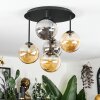 Chehalis Taklampa, kullampa Amber, Rökfärger, 5-ljuskällor