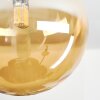Chehalis Taklampa, kullampa Amber, Rökfärger, 5-ljuskällor