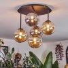 Chehalis Taklampa, kullampa Amber, Rökfärger, 5-ljuskällor