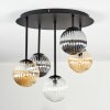 Chehalis Taklampa, kullampa Amber, Klart, Rökfärger, 5-ljuskällor