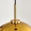 Koyoto Pendellampa, kullampa, Pendelbelysning Guld, Svart, 1-ljuskällor