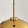 Koyoto Pendellampa, kullampa, Pendelbelysning Guld, Svart, 1-ljuskällor