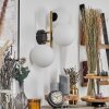 Gastor kullampa, Vägglampa Guld, Svart, 3-ljuskällor