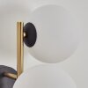 Gastor kullampa, Vägglampa Guld, Svart, 3-ljuskällor
