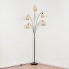 Sabadim Golvlampa Krom, Svart, 5-ljuskällor