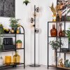 Koyoto Golvlampa 31 cm Amber, Klart, Rökfärger, 5-ljuskällor