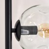Ripoll Golvlampa Klart, 5-ljuskällor