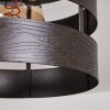 Maracoa Taklampa Naturfärger, 1-ljuskällor