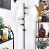 Koyoto Golvlampa 31 cm Klart, 5-ljuskällor