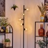 Koyoto Golvlampa 31 cm Klart, 5-ljuskällor