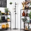 Koyoto Golvlampa 31 cm Klart, 5-ljuskällor