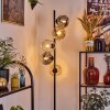 Ripoll Golvlampa Amber, Klart, Rökfärger, 5-ljuskällor