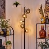 Ripoll Golvlampa Amber, Klart, Rökfärger, 5-ljuskällor