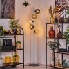 Ripoll Golvlampa Amber, Klart, Rökfärger, 5-ljuskällor