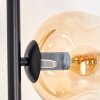 Ripoll Golvlampa Amber, Klart, 5-ljuskällor