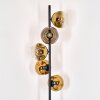 Ripoll Golvlampa Guld, Klart, 5-ljuskällor