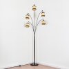 Chellas Golvlampa Krom, Svart, 5-ljuskällor