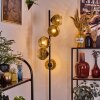 Ripoll Golvlampa Guld, Klart, 5-ljuskällor