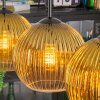 Koyoto Pendellampa, kullampa, Pendelbelysning Guld, Klart, 4-ljuskällor