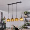 Koyoto Pendellampa, kullampa, Pendelbelysning Guld, Klart, 4-ljuskällor