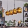Ripoll Pendellampa, kullampa, Pendelbelysning Guld, 4-ljuskällor