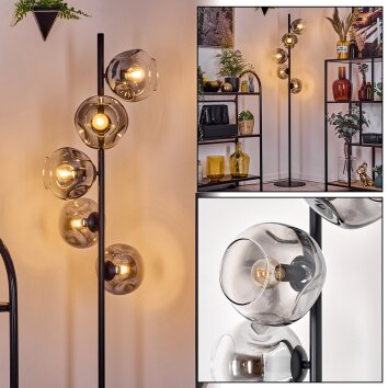 Ripoll Golvlampa Klart, Rökfärger, 5-ljuskällor Ripoll Golvlampa Klart, Rökfärger, 5-ljuskällor
