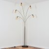 Codecreo Golvlampa Nickel matt, Svart, 5-ljuskällor