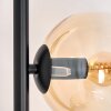 Koyoto Golvlampa Amber, Klart, 5-ljuskällor