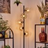 Koyoto Golvlampa Amber, Klart, 5-ljuskällor